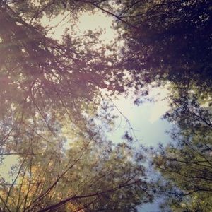 Meet your Posher, Lydia